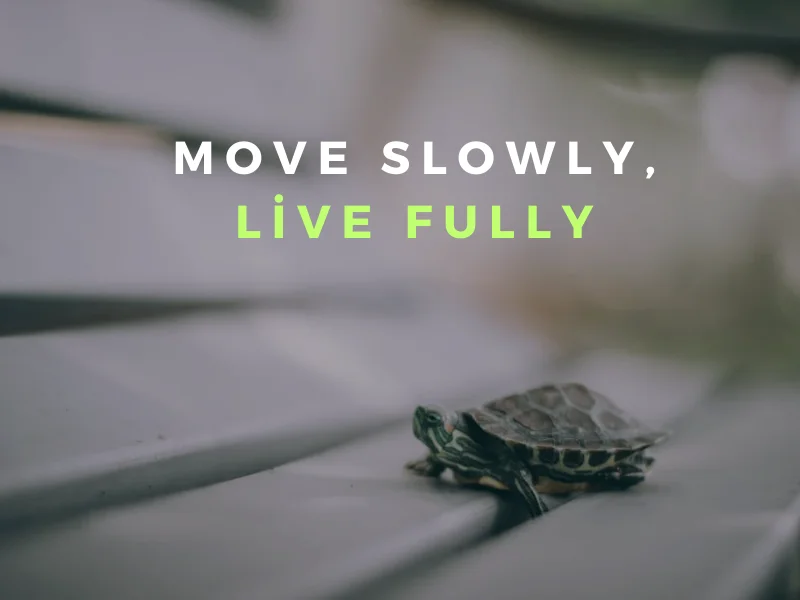 move slowly