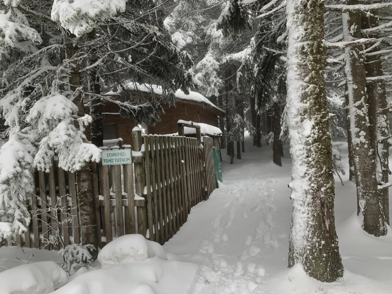 Life in the Uludag Mountains!