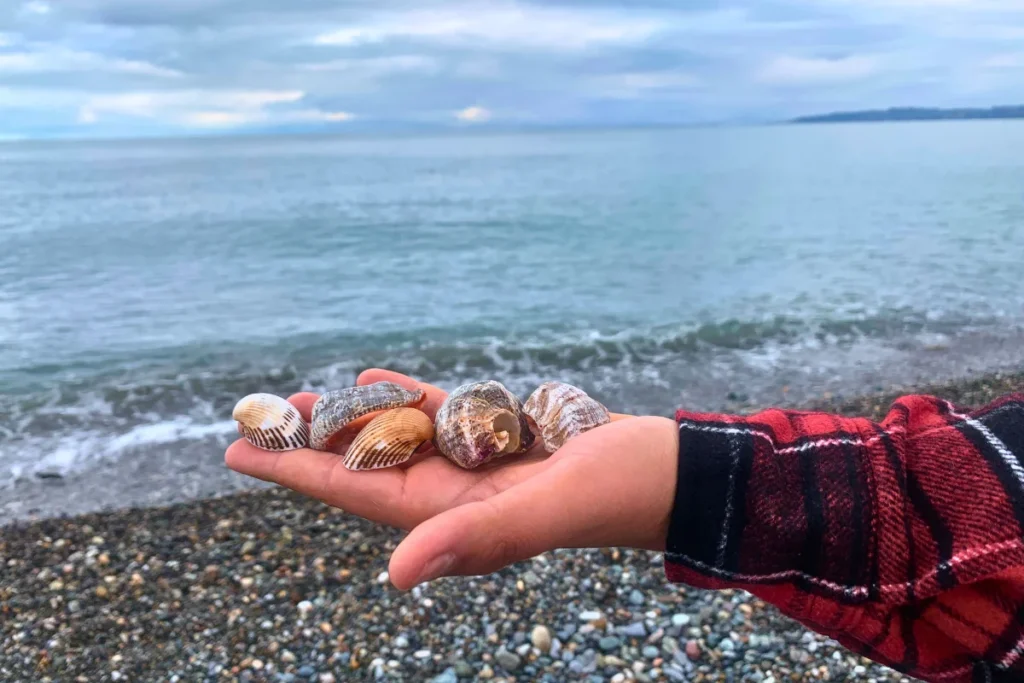 batum beaches stone