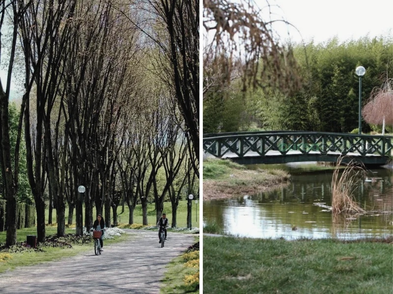 Bursa botanic park